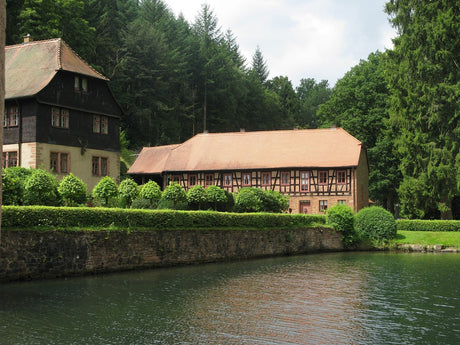Wandern im Spessart: Entdecke Hessens Naturparadies