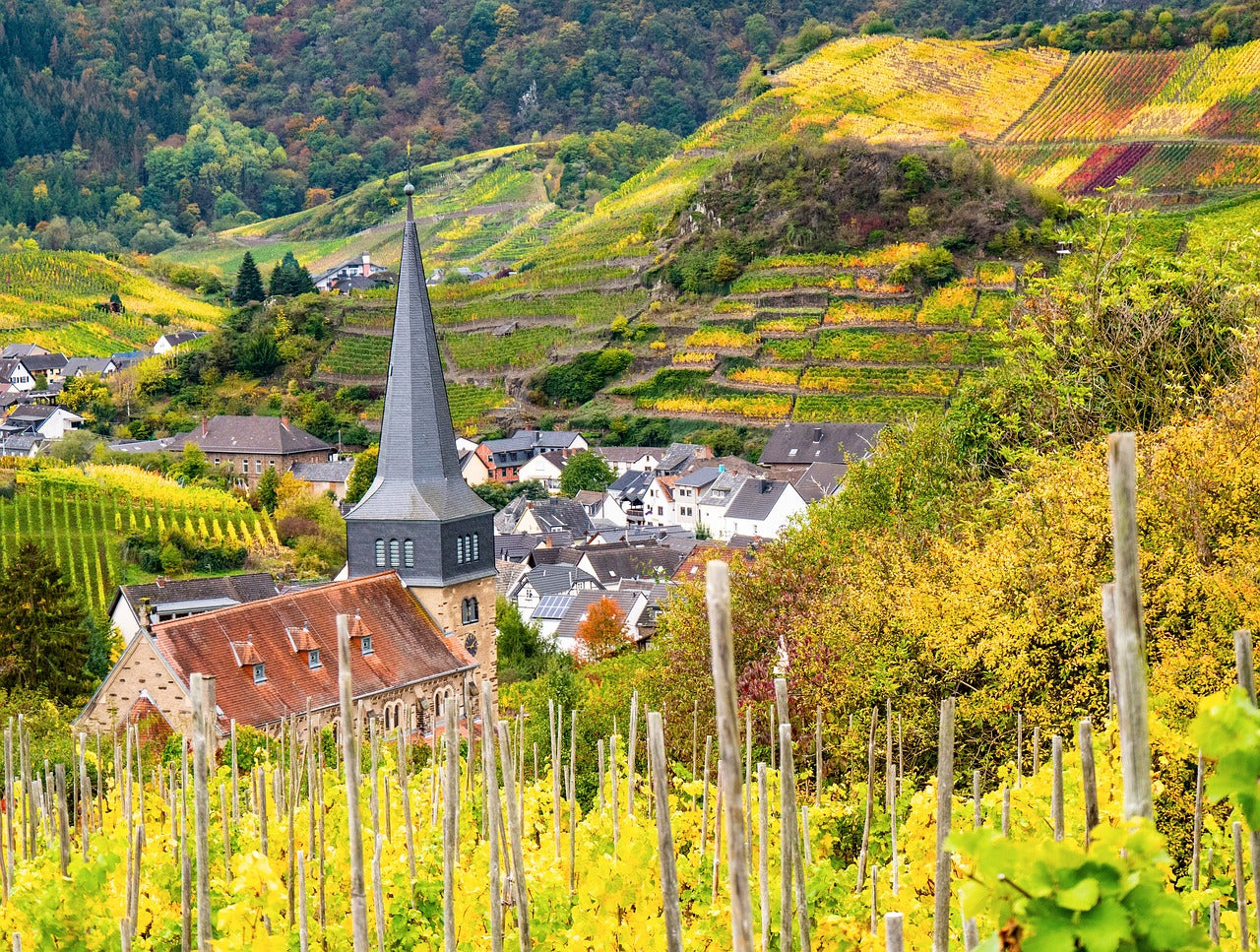 Wandern im Ahrtal: Entdecke die schönsten Routen zwischen Weinbergen und Wiederaufbau