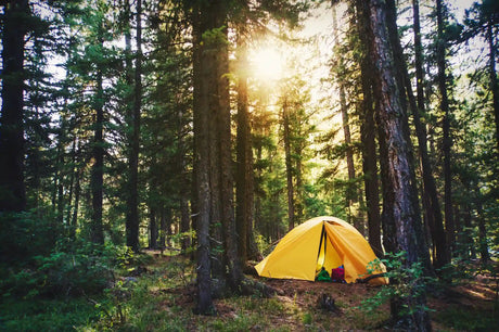 Wildcampen in Deutschland: Was ist erlaubt und wo drohen Strafen?