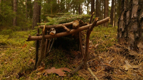 Unterschlupf aus Naturmaterialien: Bushcraft Shelter bauen für Überleben in der Wildnis
